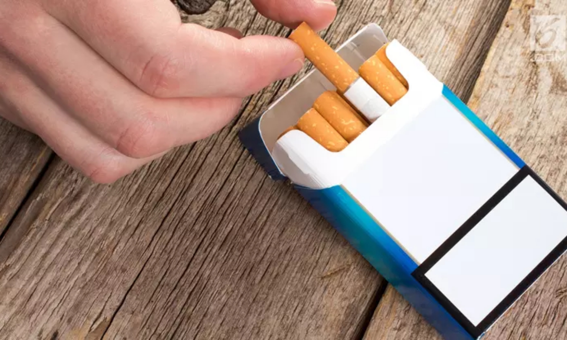 Peredaran Rokok Ilegal Turun, Harga Makin Tak Terjangkau