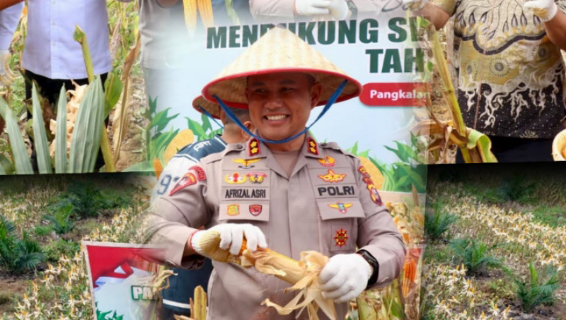 Dukung Swasembada Pangan, Kapolres Pelalawan Bersama Ketua DPRD Panen Jagung Serentak