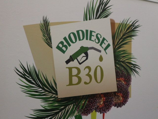 Ombudsman Temukan Maladministrasi pada Biodiesel dan Peremajaan Sawit
