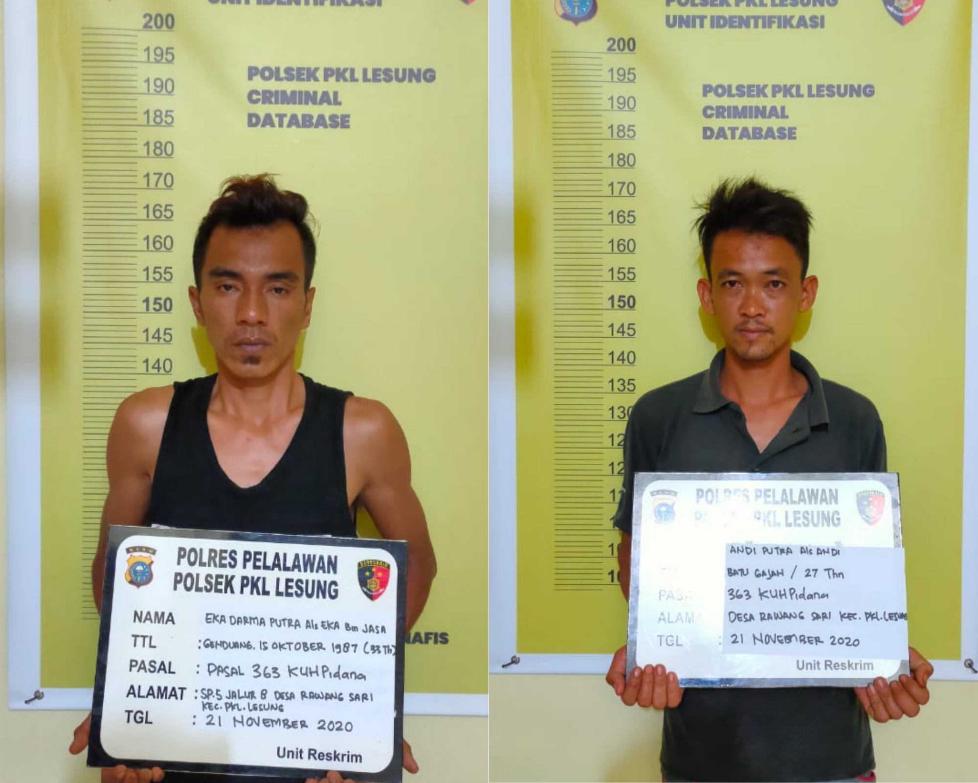 Polsek Pangkalan Lesung Amankan Dua Pelaku Pencurian Kelapa Sawit di Desa Genduang