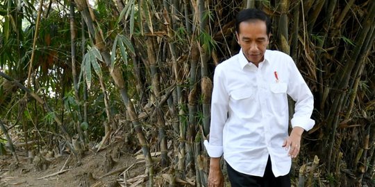 Jokowi Minta Pejabat Kemenristekdikti Pangkas Regulasi yang Mempersulit