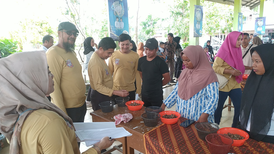 Disparpora Rohil Gelar Festival Kupas Kerang