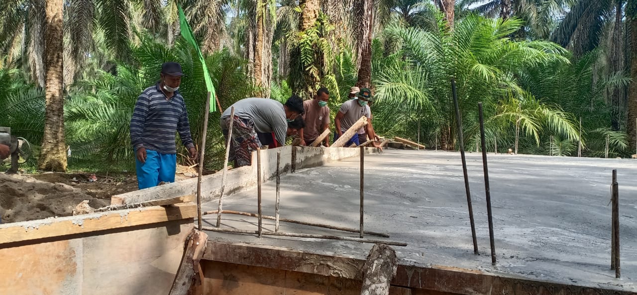 Pembangunan Box Culvert di Dusun Suka Mulya Jaya Masuk Tahap Finishing