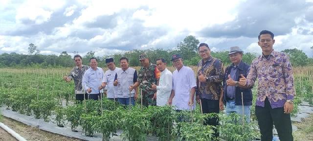 Pejabat ketapang serta pejabat yang hadir melihat langsung hasil pertanian tanaman cabe