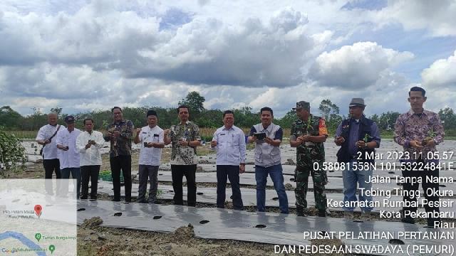 Para pejabat yang hadir di kegiatan penguatan sarana-prasarana kepada Pusat Pelatihan Pertanian dan Perdesaan Swadaya (P4S) Petani Muda Riau (Pemuri) memperlihatkan bibit yang akan di tamam